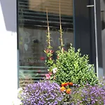 Apartment Bellevue