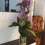 Apartmán Bellevue *